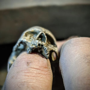 Decayed Jawless Skull Ring