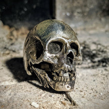 Load image into Gallery viewer, Decayed Skull Ring